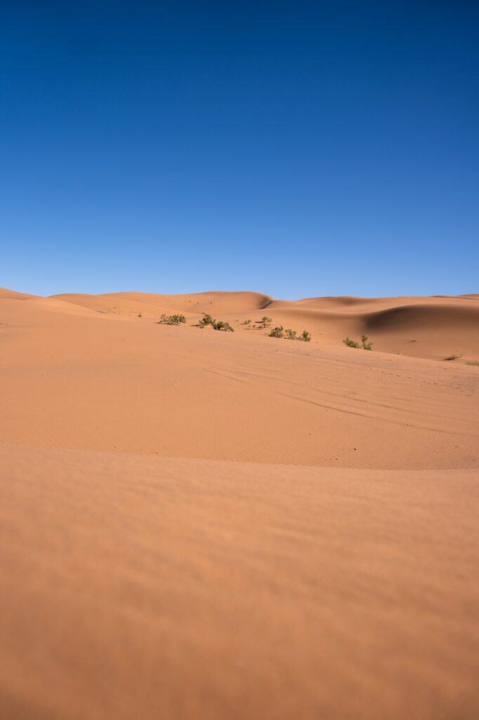 Dunes dans le désert du Sahara